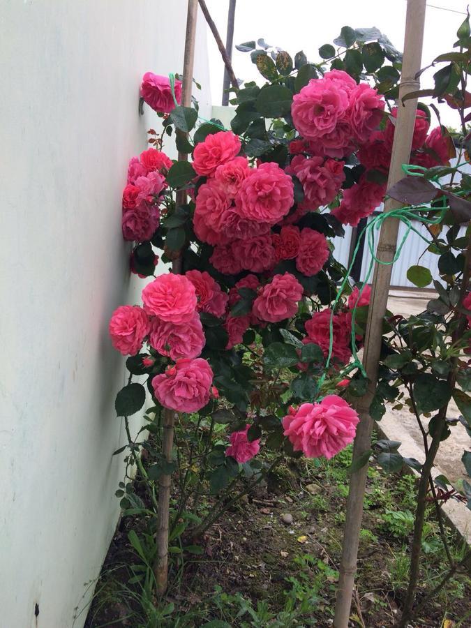 New Athos Guest House On Gagarina Varvara10 מראה חיצוני תמונה